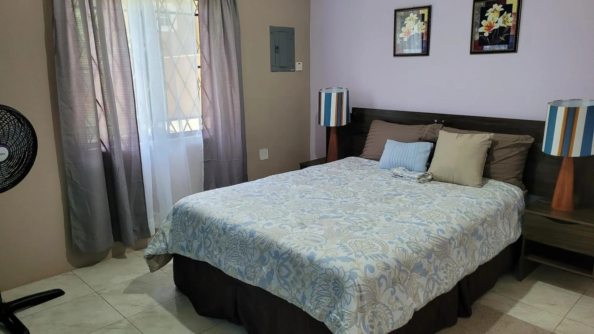 Dw Apartments Mandeville